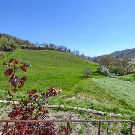 3 Bedroom Pet Friendly In * Borgo Pace